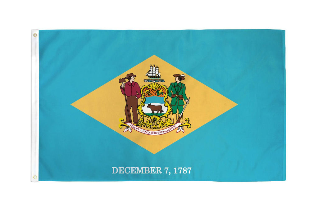 Delaware Flag